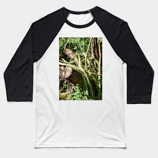 Desert Study 24 Baseball T-Shirt